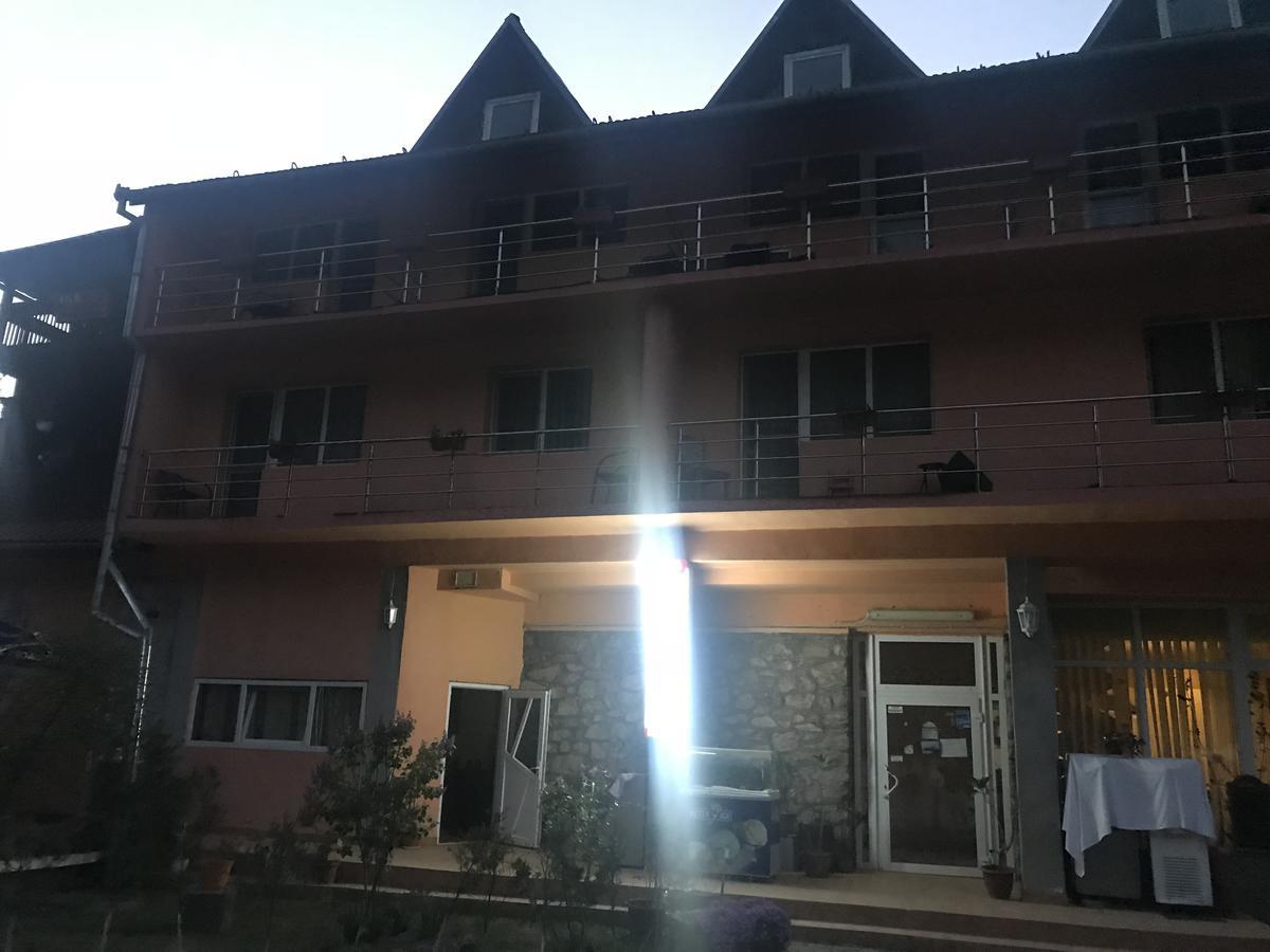 Vila Tanamera Hotel Moneasa Exterior photo